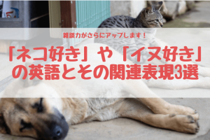 スッキリ 動詞 Live と形容詞 Live Alive そして Living の意味と使い分け Ryo英会話ジム スッキリ 動詞 Live と形容詞 Live Alive そして Living の意味と使い分け Ryo英会話ジム