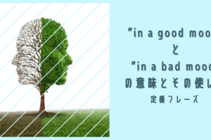What Are The Chances Of 動詞 Ing の意味とその使い方 Ryo英会話ジム What Are The Chances Of 動詞 Ing の意味とその使い方 Ryo英会話ジム